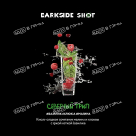 Dark Side Shot - Северный Трип (Базилик, Клюква, Малина), 30 гр (м)