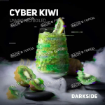 DarkSide Core Cyber kiwi 100 гр