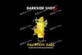 Dark Side Shot - Ладожский вайб (Киви, Мармелад, Земляника), 30 гр (м)