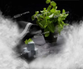 Darkside Core Dark mint 30 г
